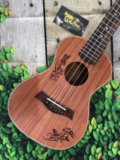 Ukulele concert
