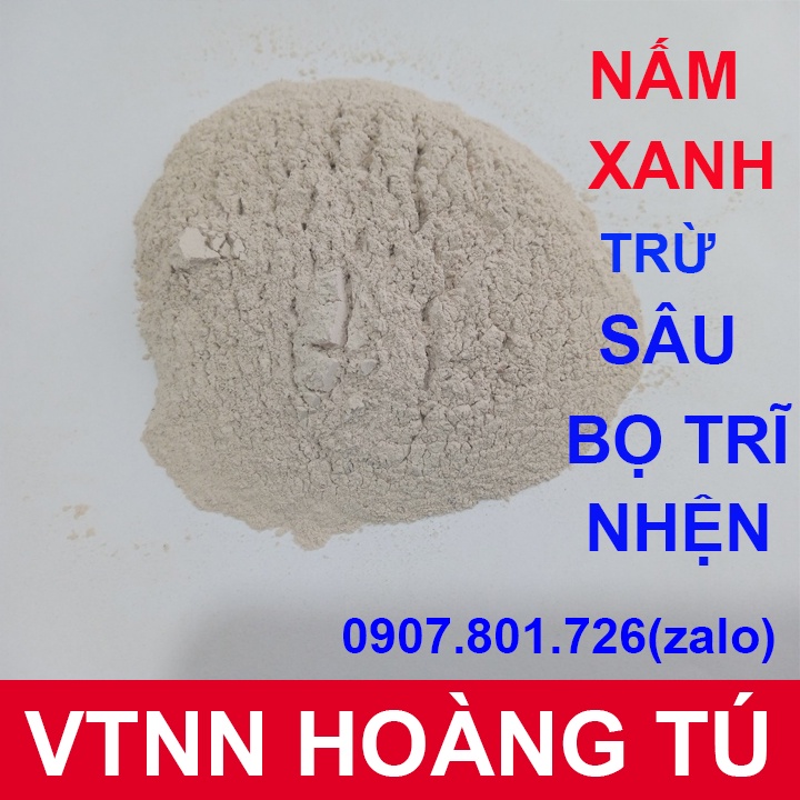 Chế Phẩm Sinh Học Nấm Xanh SIAMB Trừ Sùng Đất, Cuốn Chiếu, Rầy Rệp Gói 100 Gram