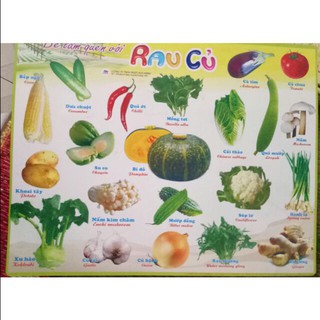 Bảng học về các loại rau củ cho bé