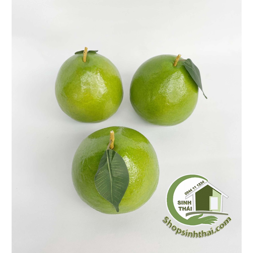 Trái bưởi da xanh - quả bưởi giả màu xanh - trái cây giả cao cấp