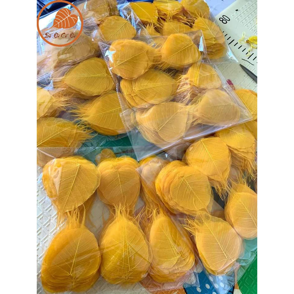 set 50 lá bồ đề nhuộm vàng size 10-11-12 đã chọn lọc kỹ