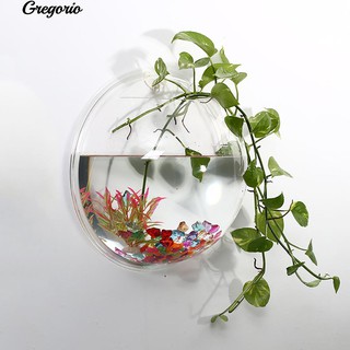 Chậu Cây Cảnh Treo Tường