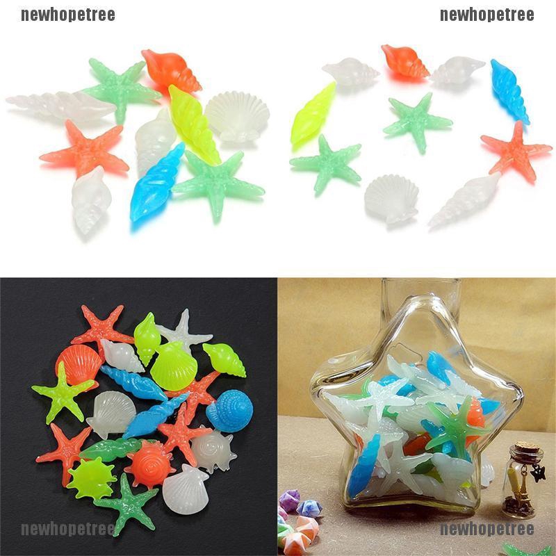 Bộ 10 Vỏ ốc trang trí phát sáng trong đêm cho bể cá