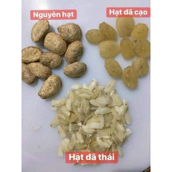 Hạt Sang[Hạt Sành Chữa Đau Dạ Dày]