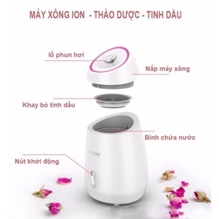 Máy xông mặt hoa quả MAOER