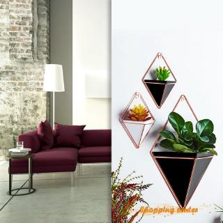 Bộ 2 chậu cây treo tường mini