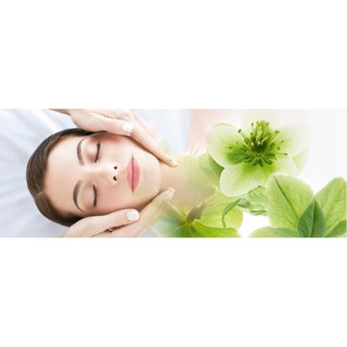 HCM [Voucher] - Gói laser cacbon giúp tăng sinh colagen,nhỏ lỗ chân lông,mờ thâm nám tại Thảo Nguyên Spa