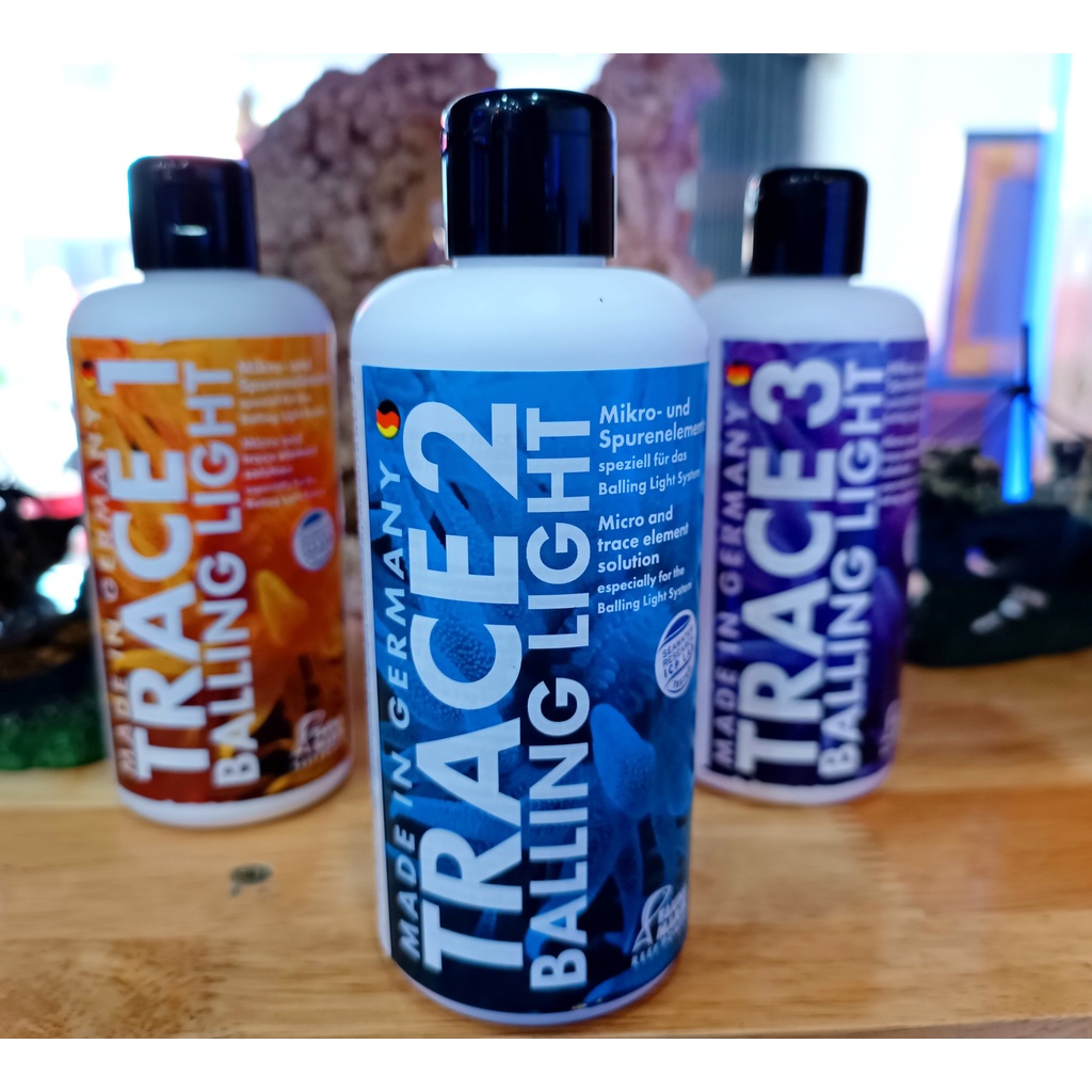 BỘ SẢN PHẨM KÍCH MÀU SAN HÔ FAUNA BALLING