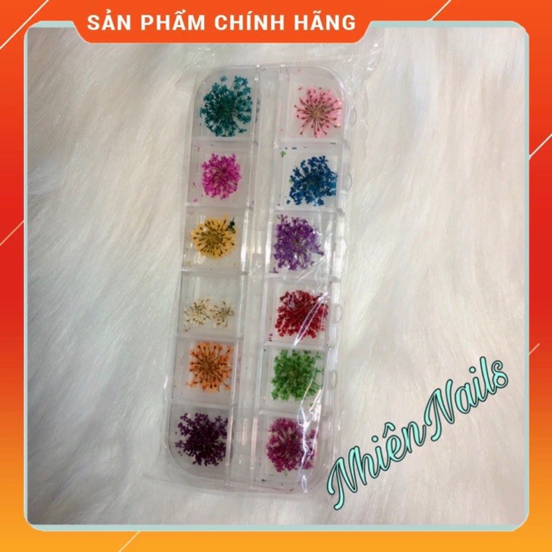HOA KHÔ CÁNH TO - HOA KHÔ CÁNH NHỎ TRANG TRÍ MÓNG