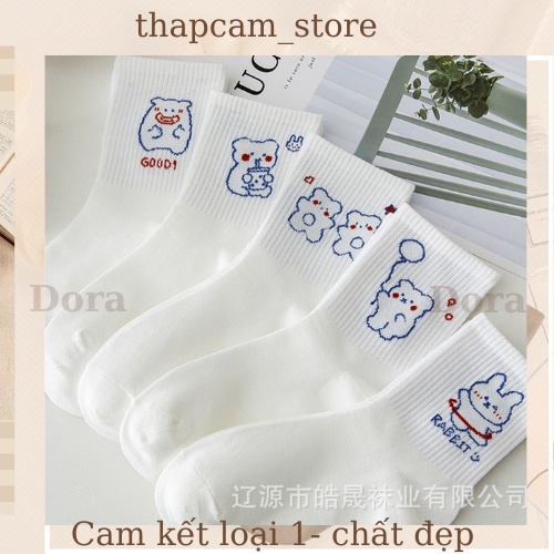 Tất Cao Cổ Dora Hoạ Tiết Hoạt Hình Chú Gấu 100% cotton