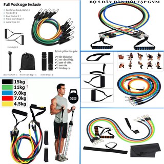 Bộ 5 Dây Ngũ Sắc Tập Full Body - Dụng Cụ Tập Gym