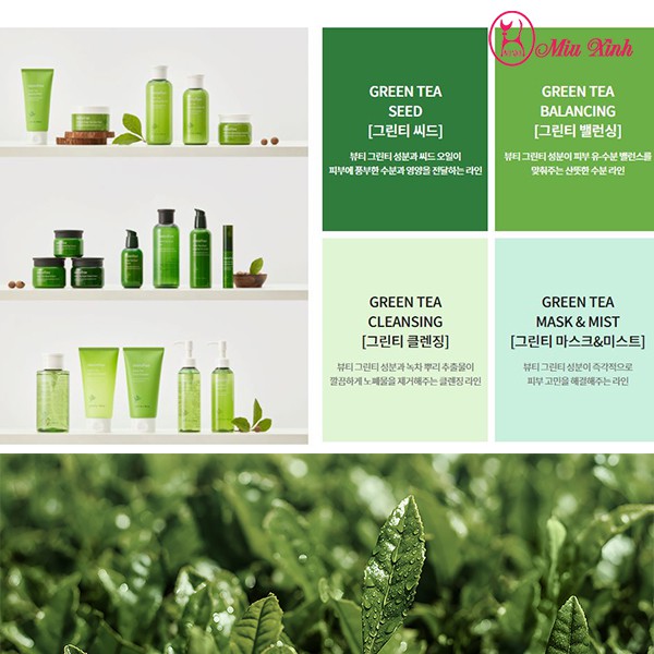 MẶT NẠ NGỦ TRÀ XANH [INNISFREE] Green Tea Sleeping Pack