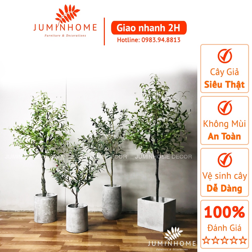 [Mã ICBBACK1219 hoàn 20K xu đơn 0Đ] Cây Oliu, Olive - Cây giả Decor trang trí nhà cửa nội thất phòng khách, phòng ngủ