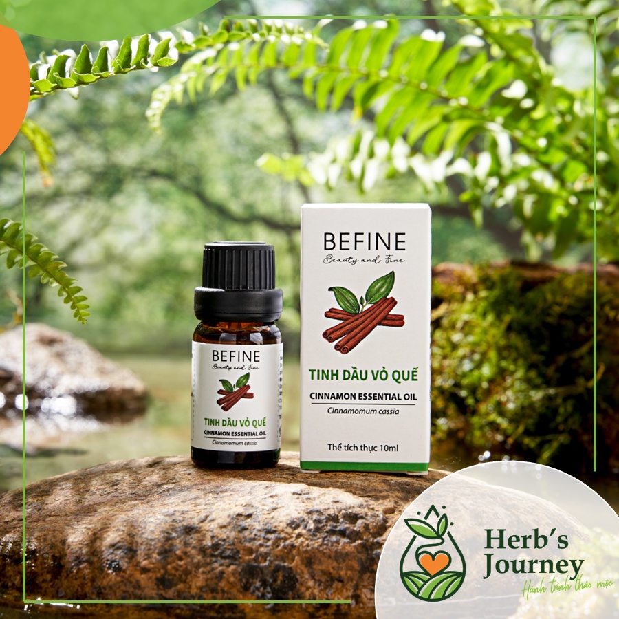 Tinh dầu Quế Vỏ cao cấp - BEFINE - Tinh dầu nguyên chất chưng cất tự nhiên - Giữ ấm cơ thể, thơm phòng