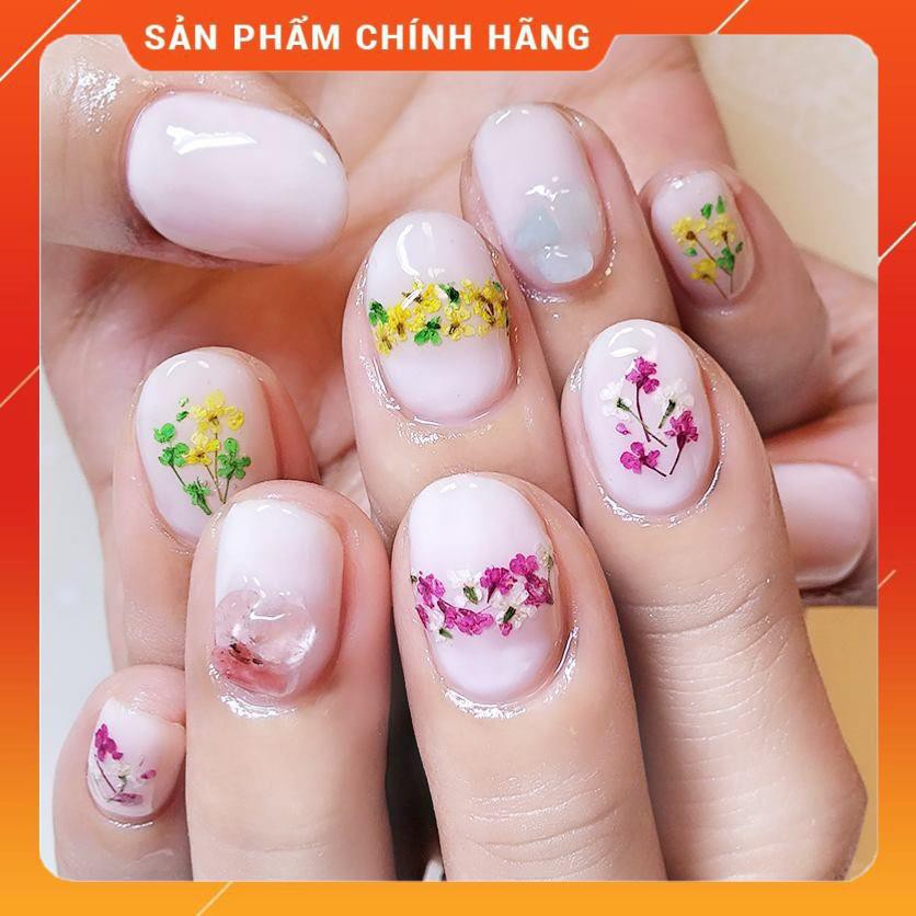 Set Hoa Khô Chùm Trang Trí Nail 12 Màu - Set Hoa Khô Chùm Trang Trí