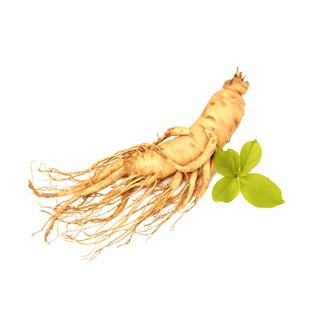 Hương Nhân Sâm Hàn Quốc Nhập Khẩu - Ginseng Flavour MQ Intrernational 30ML