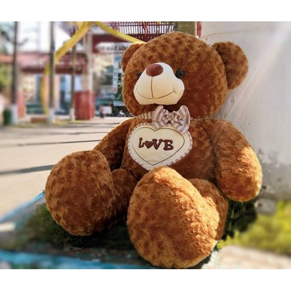 Gấu Teddy Siêu To Khổng Lồ 1M8 Ôm Phê Hơn Cả Người Yêu