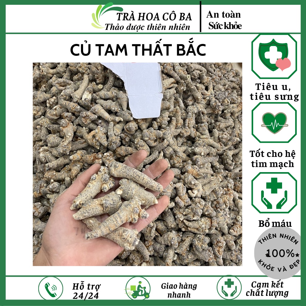 Củ tam thất bắc, bột tam thất giúp ngăn chặn khối u Trà Hoa Cô Ba 500gr