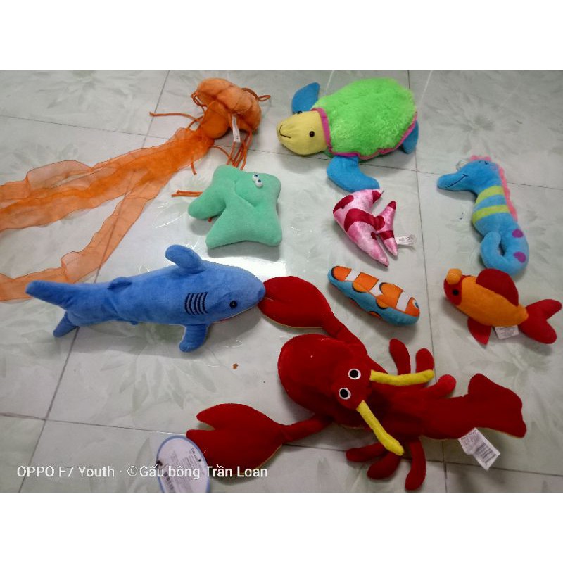Gấu bông con vật biển