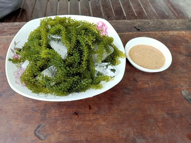 5 gói rong tách nước  kèm 5 sôt mè