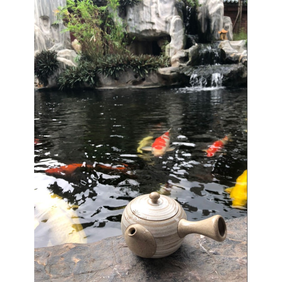 Ấm Trà Bạch Hồng Sa Kutani Quai Ngang