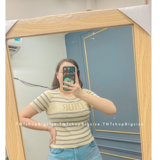 ÁO LEN SỌC XÁM [ TNT SHOP BIGSIZE 60KG 90KG ]
