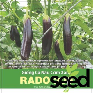 Hạt Giống Cà Nâu Cơm Xanh 0.5Gram