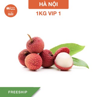 1kg VIP 1 Vải thiều Thanh Hà chín cây vườn lâu năm