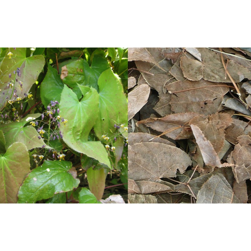 Dâm Dương Hoắc - Bán từng bó