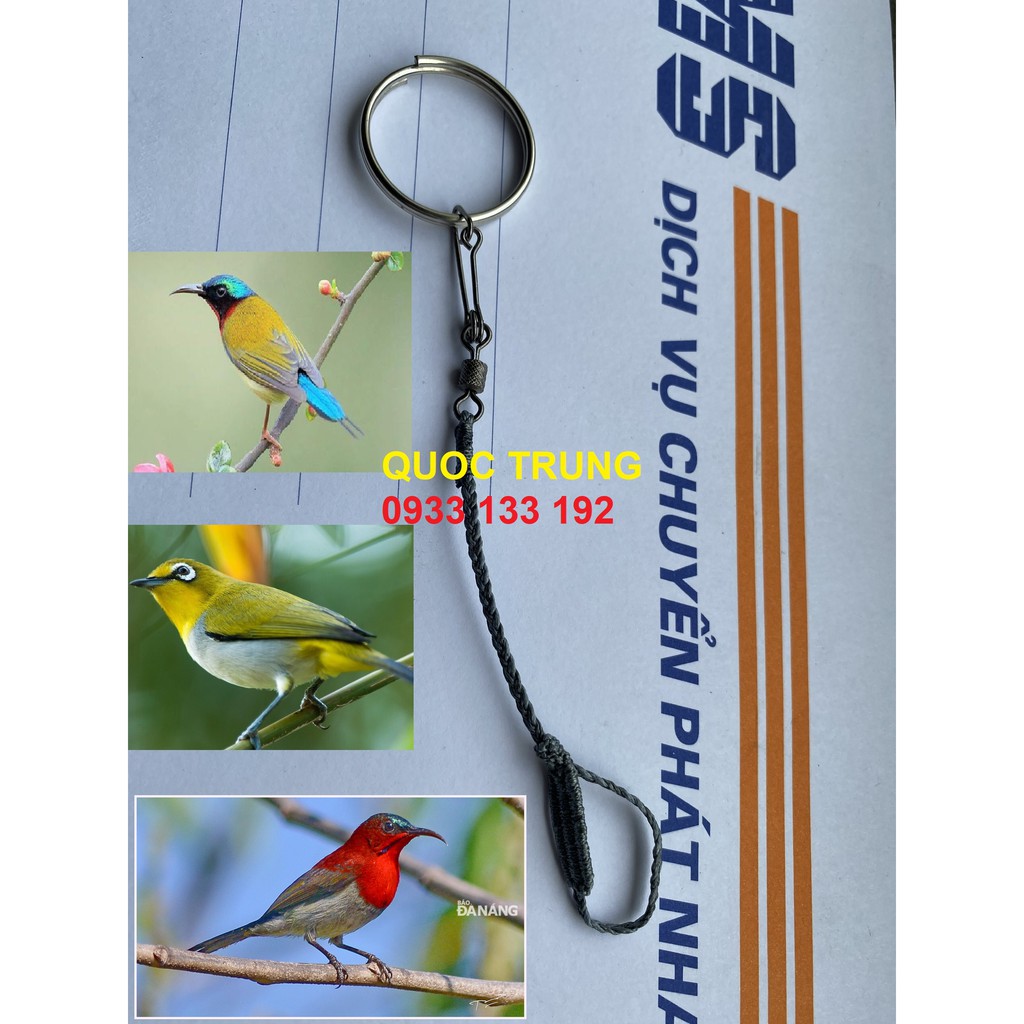 Dây xích chân chim Hút Mật, Vành khuyên, Sâu đầu đỏ, và nhiều loại chim nhỏ khác
