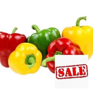 Hạt giống ớt chuông ngọt 20 hạt SALE