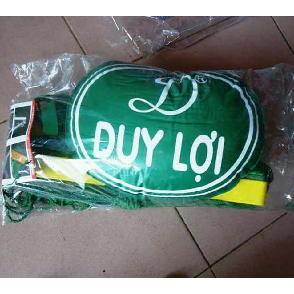 [Shopee siêu rẻ] Lưới Võng Xếp Duy Lợi  + Gối (Cỡ lớn loại 18 lỗ - Không kèm khung)