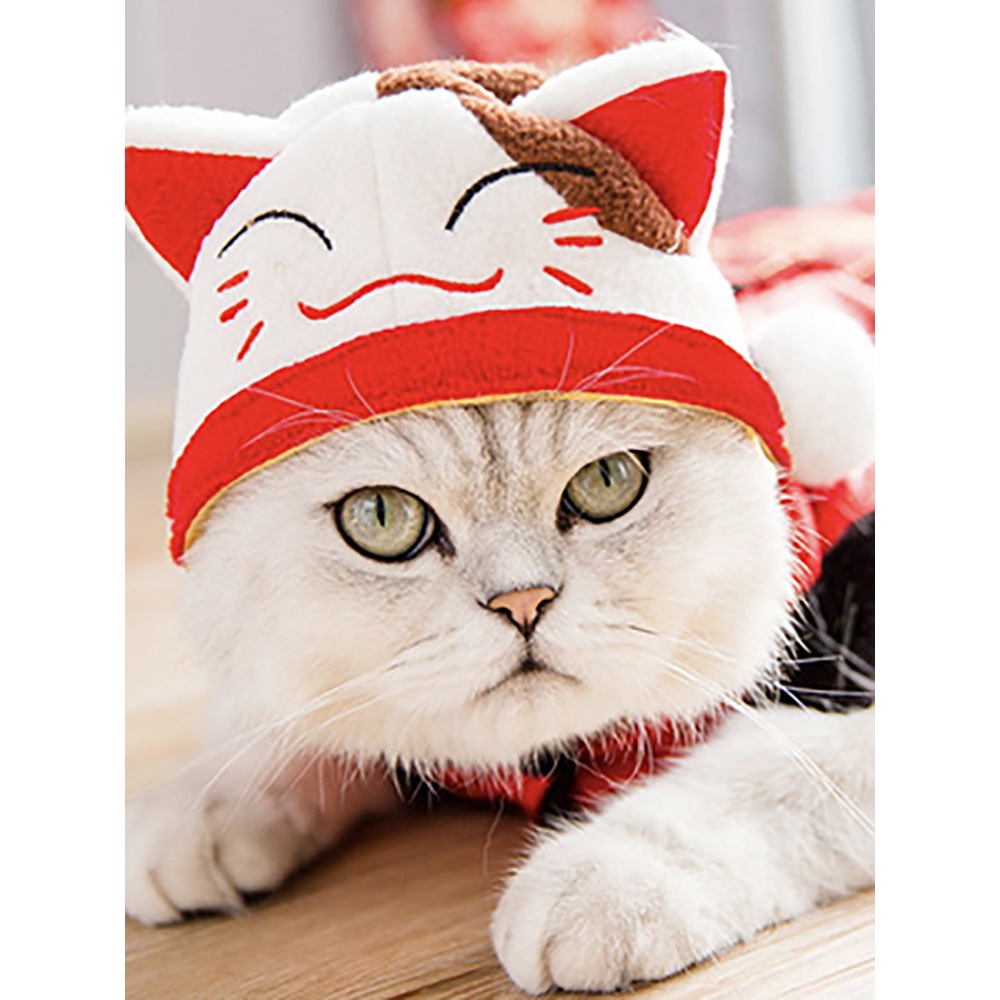 Mũ hóa trang dịp Halloween dễ thương để đội cho thú cưng
