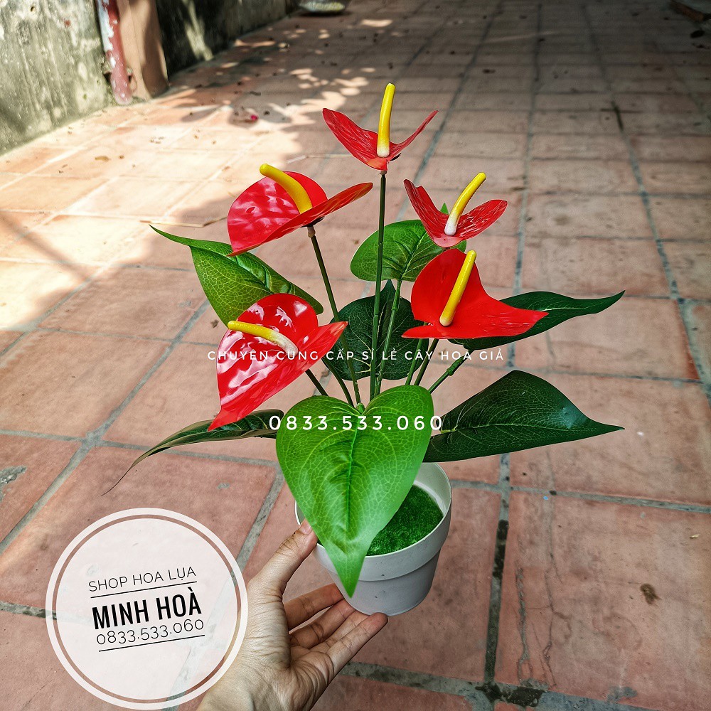 Cây hoa giả - Cây Hồng Môn Đỏ 5 bông, cao 35cm - Chậu cây để bàn trang trí nhà cửa, văn phòng