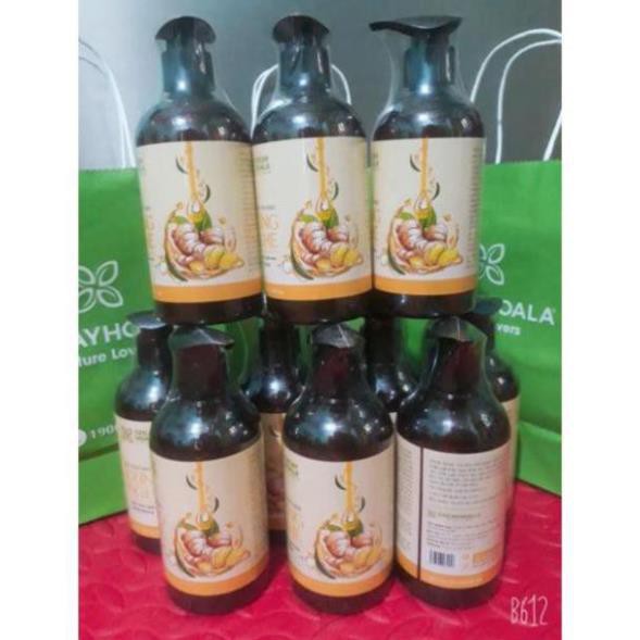 Sữa tắm thảo dược gừng nghệ 300ml