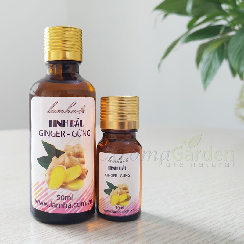 Tinh dầu gừng nguyên chất