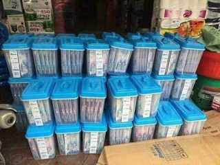 COMBO 10 bàn chải đánh răng Hàn Quốc