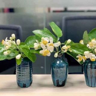 LỌ HOA MINI MEN HỎA BIẾN NGHỆ THUẬT