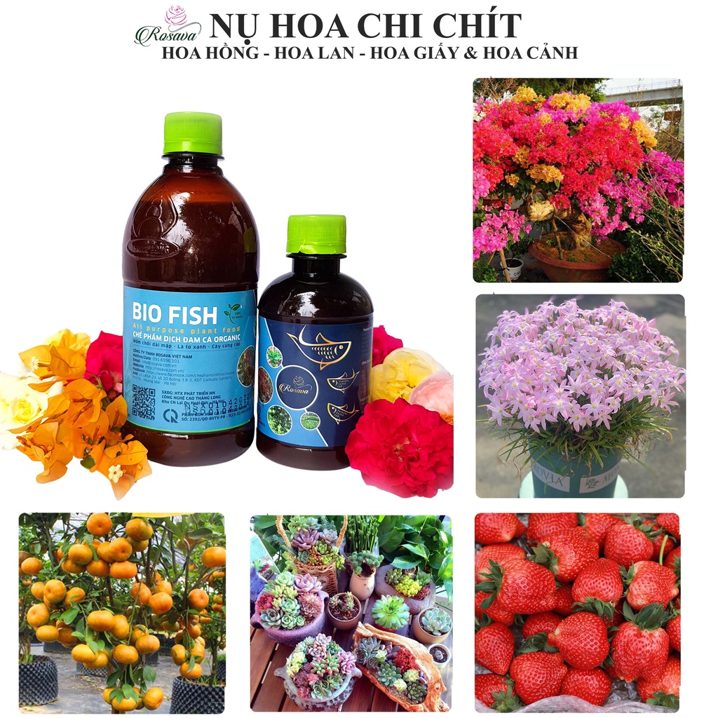 Phân bón đạm cá hữu cơ vi sinh Rosava cho hoa hồng, cây cảnh, lan, sen đá, hoa giấy