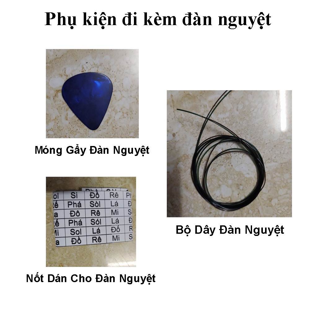 Mua Đàn nguyệt DN59 giá rẻ tặng kèm khoá học online + nốt dán lên đàn tập chơi