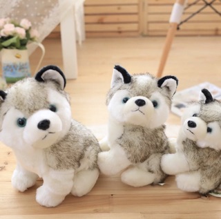 Chó bông husky - gấu bông