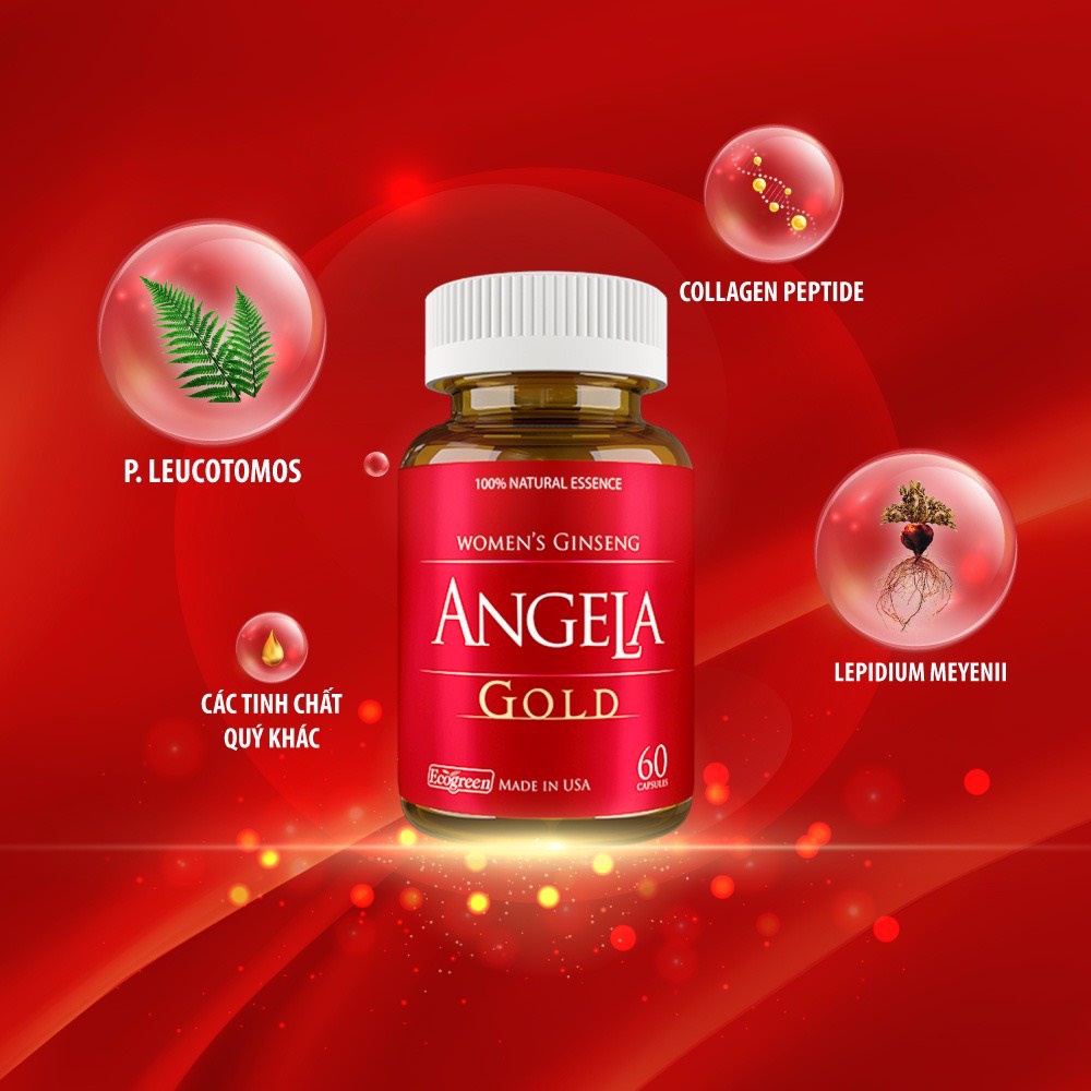 SÂM ANGELA GOLD 60 Viên   CHÍNH HÃNG - Hỗ trợ tăng cường sức khoẻ- Sắc đẹp và Sinh lý nữ