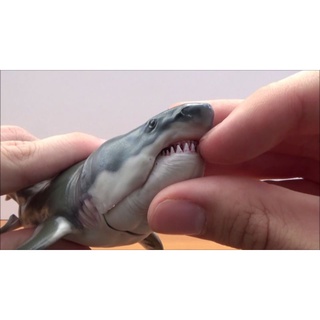 Mô hình PNSO Patton The Megalodon