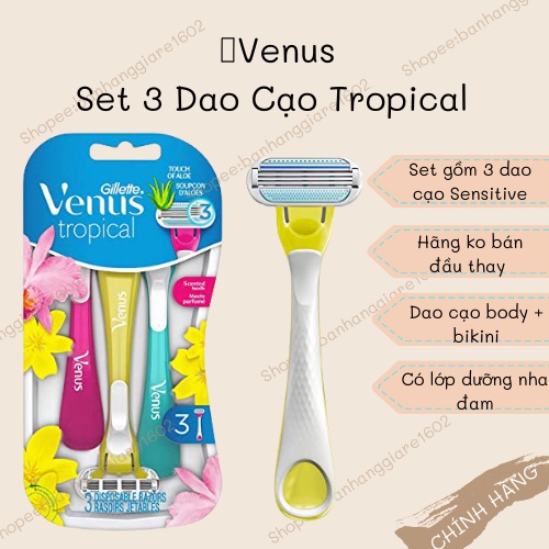 Set 3 Dao Cạo Gillette Venus Thiết Kế 3 Đầu Lưỡi (Có Sẵn)