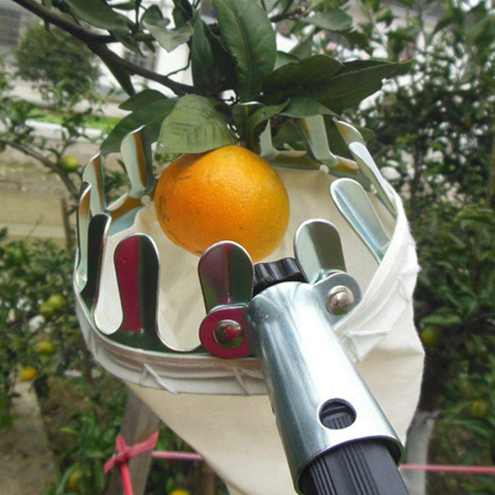 JARRED Dụng Cụ Nhặt Trái Cây Làm Vườn Tiện Lợi