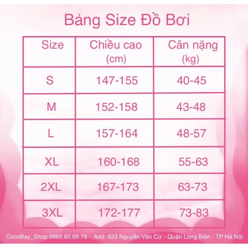 Bộ đồ bơi liền 1 mảnh bikini dành cho bạn nữ đi biển mùa hè mã L28