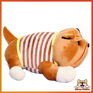 Gấu Bông Chó Mặt Nhăn 40cm Siêu Cute -