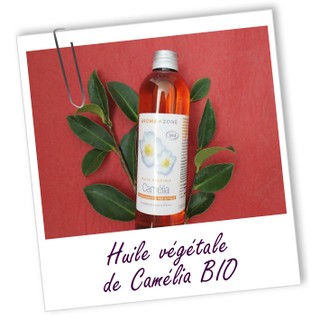 DẦU HOA TRÀ AROMA ZONE- CAMÉLIA BIO