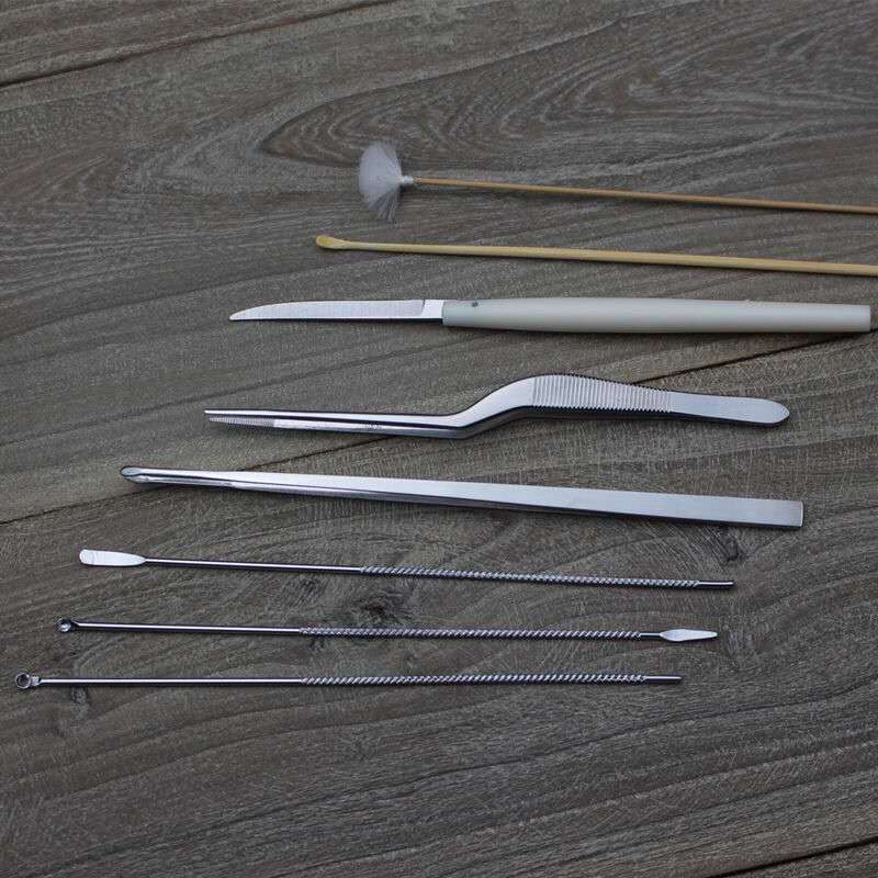 Bộ Dụng Cụ Ngoáy Tai Bằng Thép Không Gỉ Cao Cấp Kèm Hộp Gỗ Lông Ngỗng Và Nhíp Gắp Tai