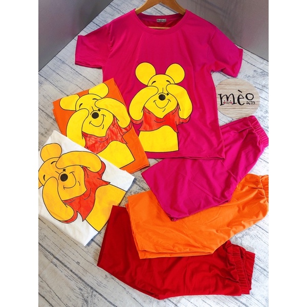 [Chuyên Sỉ] Bộ thun gấu ngố hình in lụa chất thun cotton - hàng đẹp may kĩ chuẩn shop